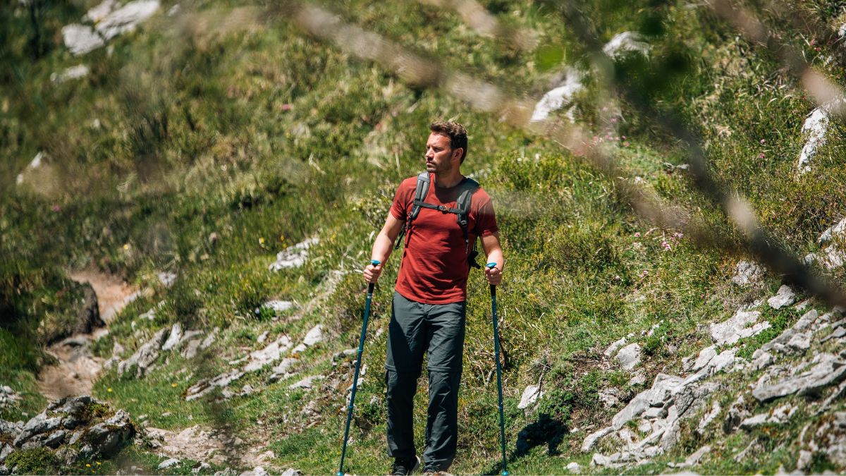 HI-TEC Kije trekkingowe Lapland - czarne